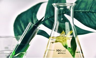 Achy Breaky Body Balm – Famous Purple Tin