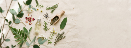 What Is Ethical Beauty? Why Bodyscents Leads the Way